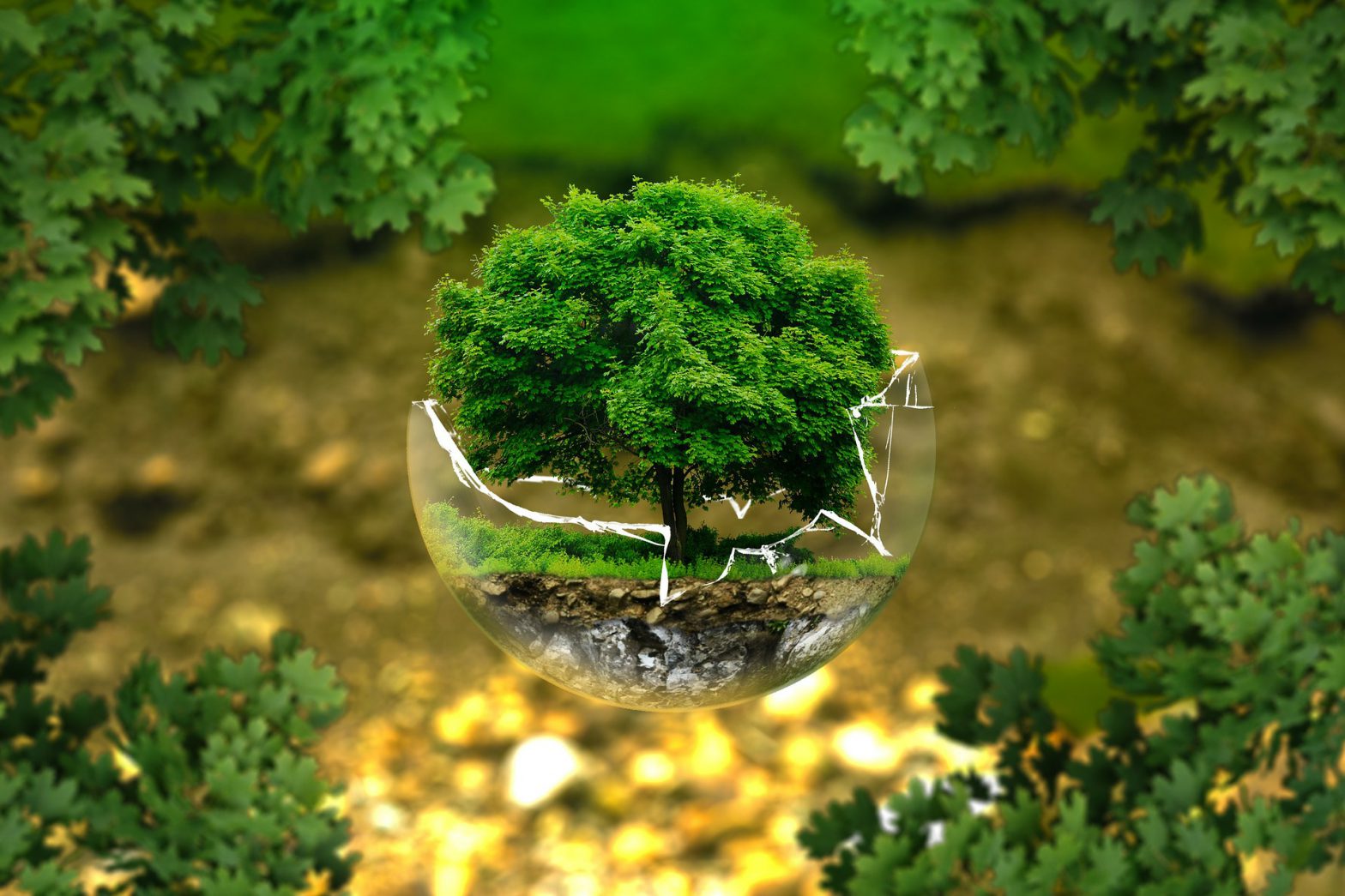 arbol en esfera rota